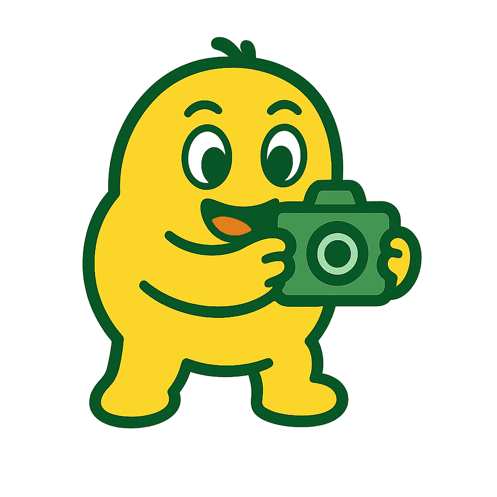 写真を使うステップのイラスト